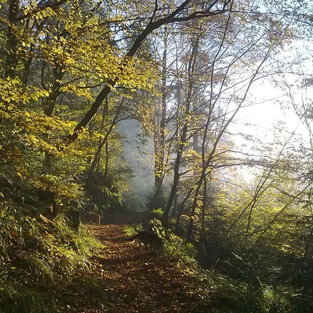 La Rubanerie, Ecolieu La Rub 3*